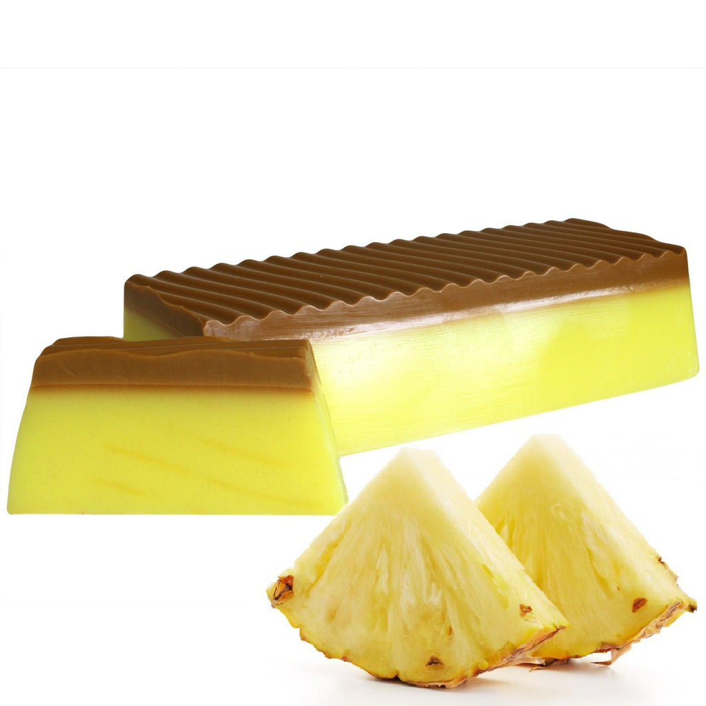 Ein Stück tropisches Paradies - Ananas